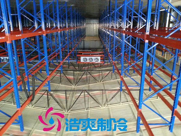 建造安裝5000㎡雞排低溫冷藏庫造價(jià)費(fèi)用是多少？