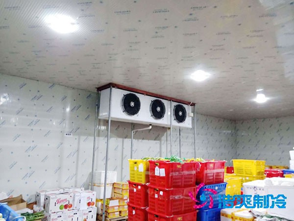 果品冷庫設(shè)計與安裝造價如何計算？-浩爽制冷