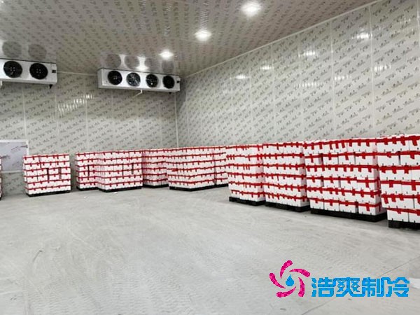 檳榔保鮮冷庫(kù)安裝造價(jià)費(fèi)用多少錢(qián)？-浩爽制冷