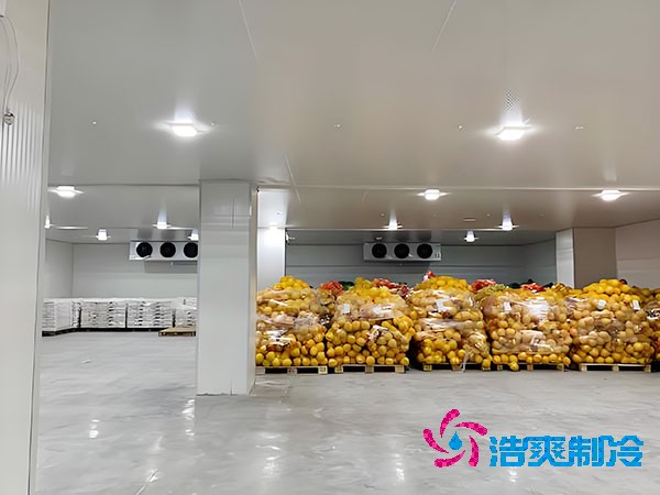 建一個(gè)蔬菜冷庫(kù)造價(jià)需要多少錢(qián)？-浩爽制冷